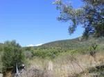 Real Estate Mallorca, Building Plots.. - 2
