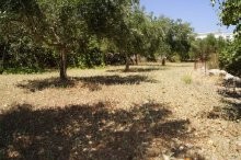 Plot For Sale Rethymnon - 2