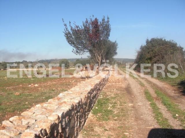 Building project for a country home in.. - 2