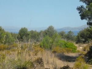 Betlem, plot for construction near the.. - 2