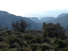 Paleochora Properties - 2