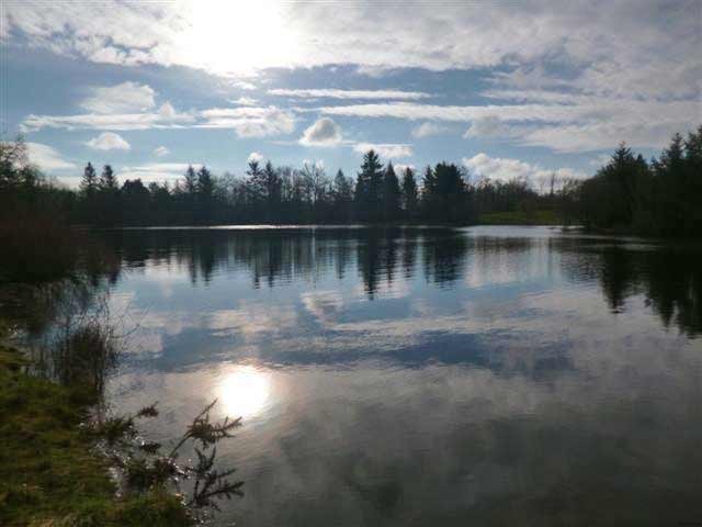 Beautiful Lake Set On More Than 12..