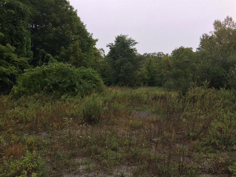Land For Sale: Route 301 Carmel NY 10579