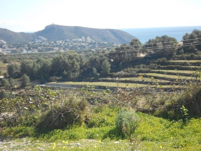 Plot in Teulada