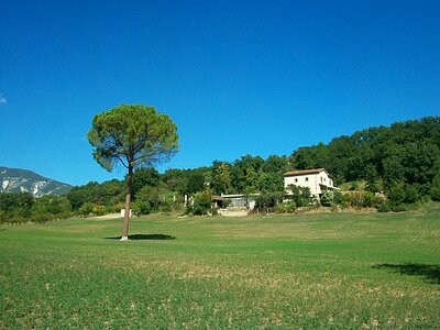 Stunning detached property with land to..