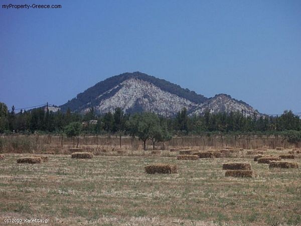 Land - Zakynthos - For Sale - 2