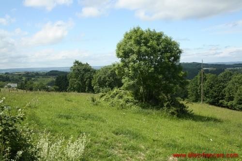 Nr Sioniac (19) - For sale : A large.. - 2