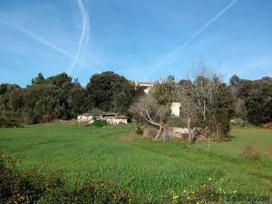 Finca near Artà with agricultural store..