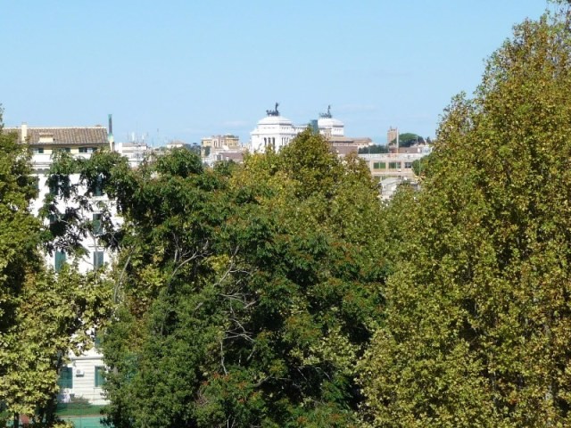 4 Bedrooms - Apartment - For Sale - 2