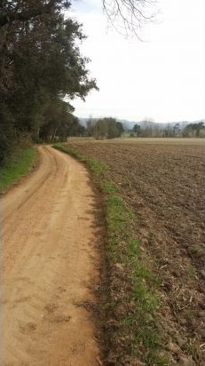 Building Plots Llagostera - 2