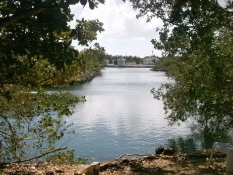 Canal Front Revenue Producer In..