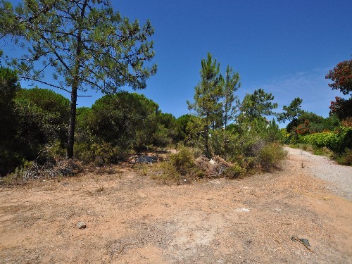 Land - Plot for Constructions in Parque.. - 2