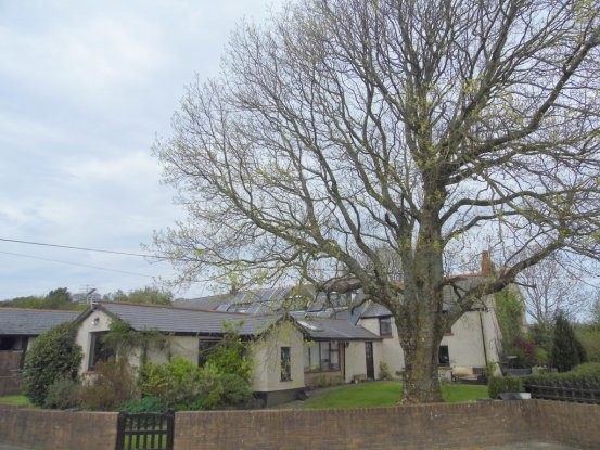 5 bedroom, Detached House house for sale - 2