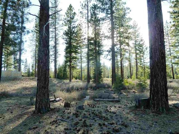 Land For Sale: Truckee, California - 2