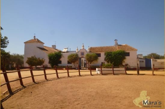 maravillosa Hacienda Hotel cerca..