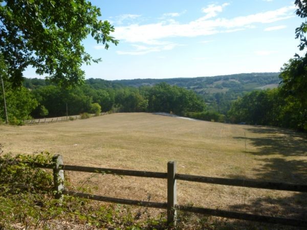 Two Houses, Swimming Pool, 6 Hectares - 2