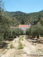 Country Property, Jaen, Las Casillas De..
