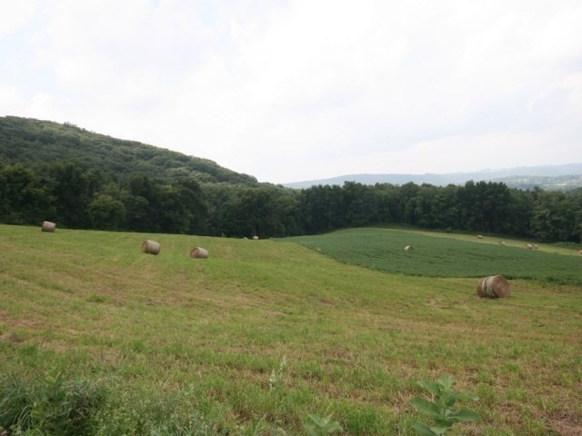 Lee Farm East Parcel - 2