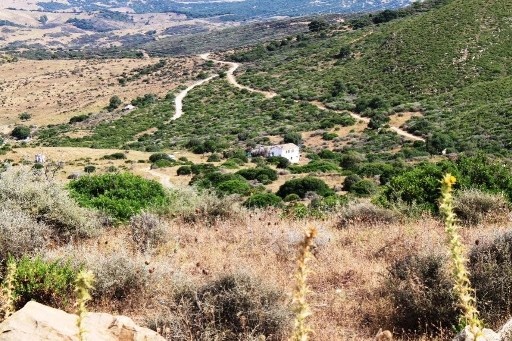 - Land - Malaga - For Sale - 2