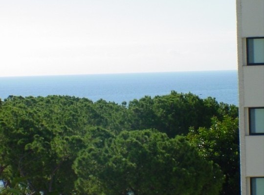Apartment for sale in Marbella Centro..