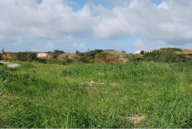 Property For Sale: Applegrove Estate 31.. - 2