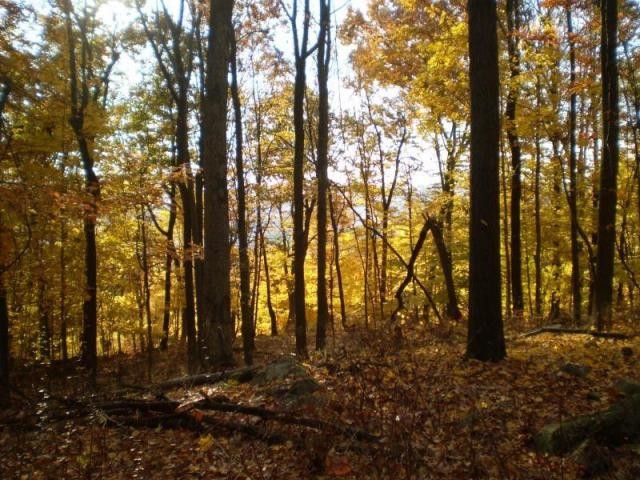 Land For Sale: 7 Queens Ct - 2