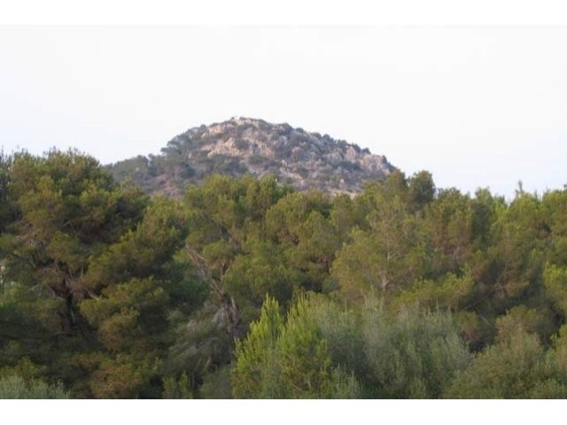 Large And Flat Plot, With Views To.. - 2