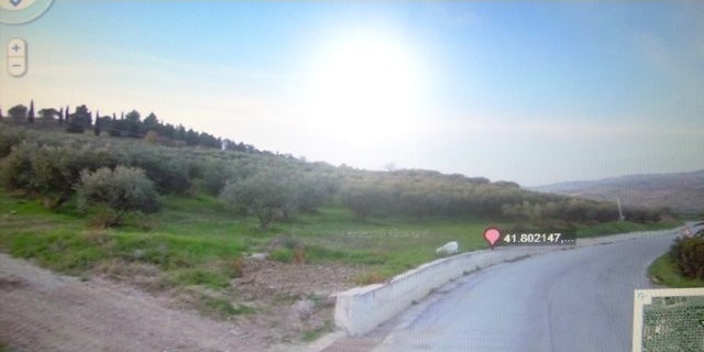 Land Terreno degli Ulivi - property to..