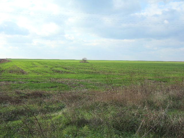 Land in Krapets, Shabla - 2