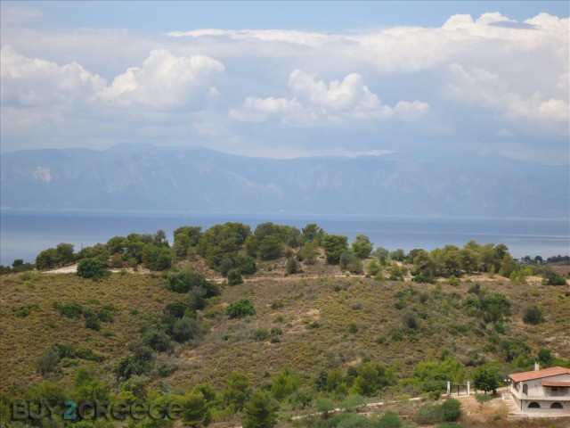 B256 - Land parcel of 6000 sqm in the..