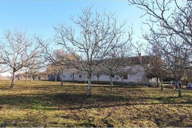 26272 - Vente - Maison - Vergt - 2