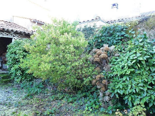 Vente Maison Belves - 2