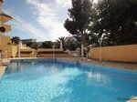 1 Bedroom - Apartment - For Sale