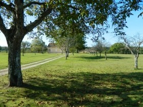 Stunning Equestrian Estate With 20ha..