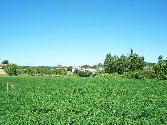 DORDOGNE land a batir of 2530 m2