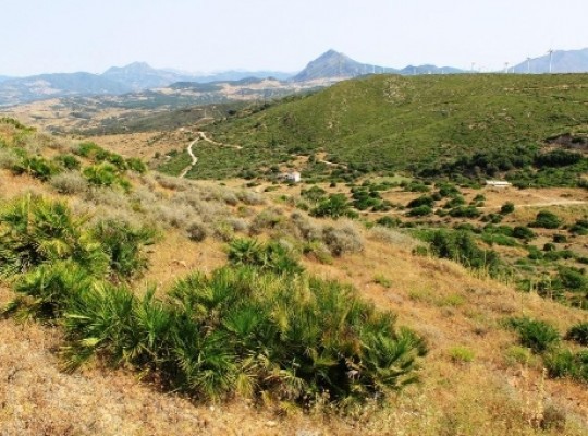 Land for sale in Casares, Malaga