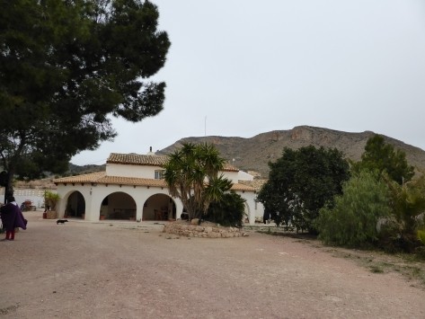 Villa La Romana, JS 208 - 2