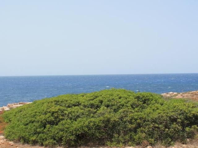 Plot in first sea line in a quiet area.. - 2