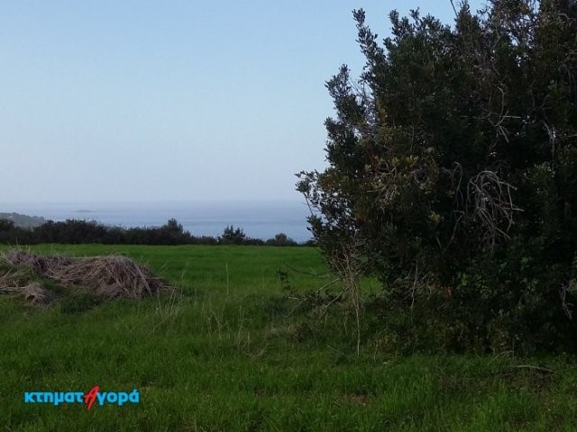 Residential Land in Neo Chorio, Pafos