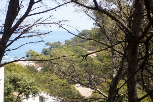 Building plot in Sa Riera