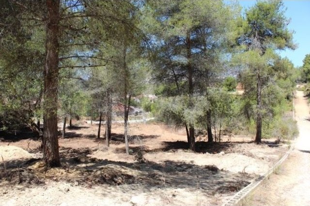 Plot in Javea