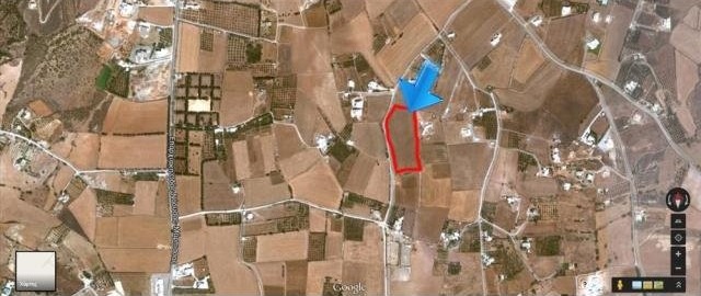 B317 - Land parcel of 12920 sqm in.. - 2