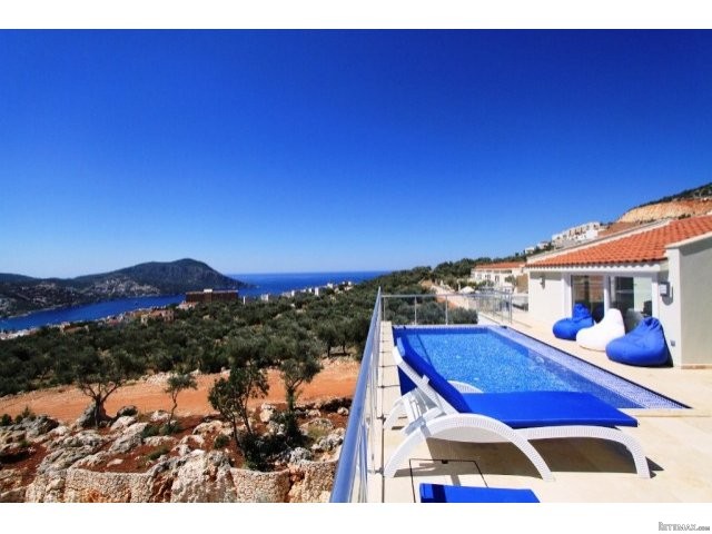 Olive grove Apartments and duplex..