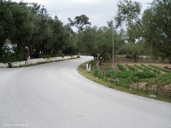 Land - Zakynthos - For Sale - 2