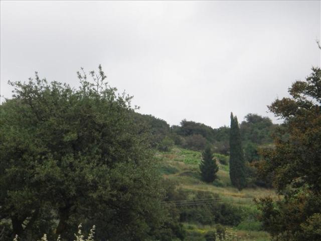 B098 - Property in Kefallonia Island - 2