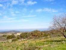 Development Land Property For Sale -..
