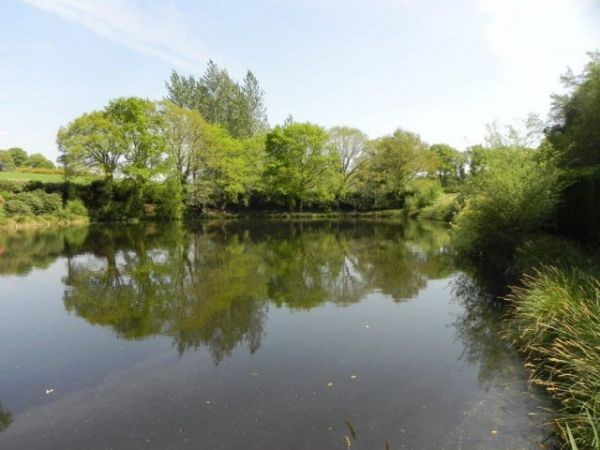 Country House with Stocked Lake - 2