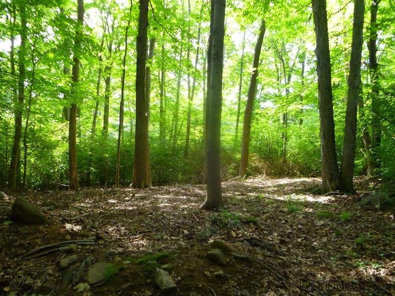Land For Sale: Hoyt Street South Salem..