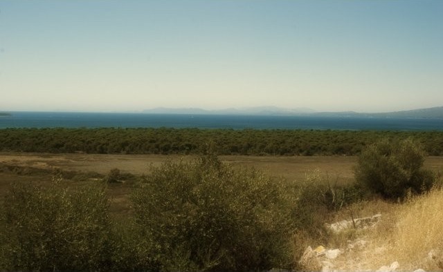 B310 - Land parcel of 1000 sqm in..