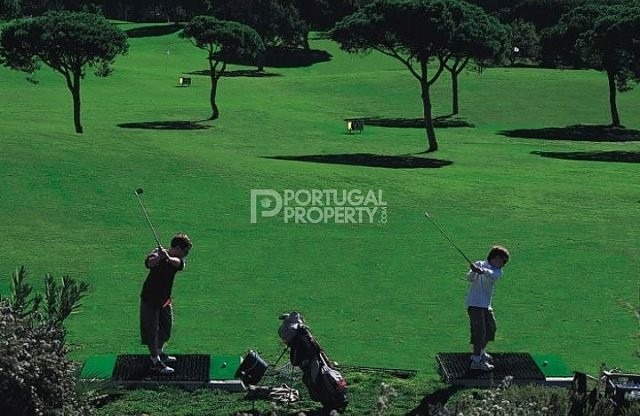 Plot with approved project - 2